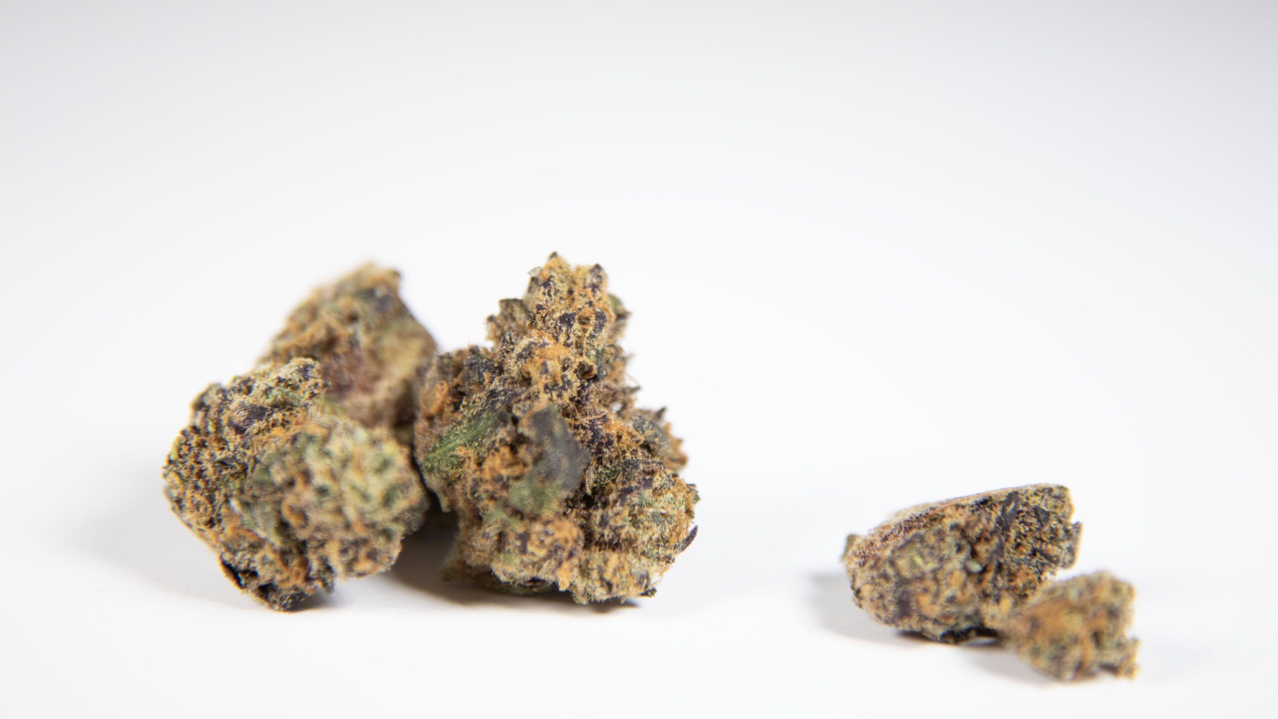 Cannabis Sales Surge in Six States Reaching Record Highs in August 2024